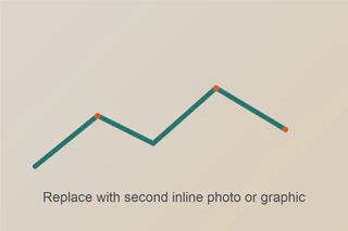 Second descriptive image caption